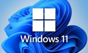 Leia mais sobre o artigo Instalação do Windows para apressados